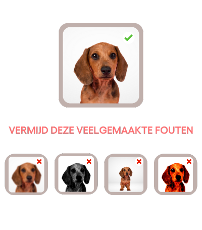 Voor een helder en scherp resultaat