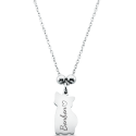 Collier pendentif chat commémoratif personnalisé – Nom gravé