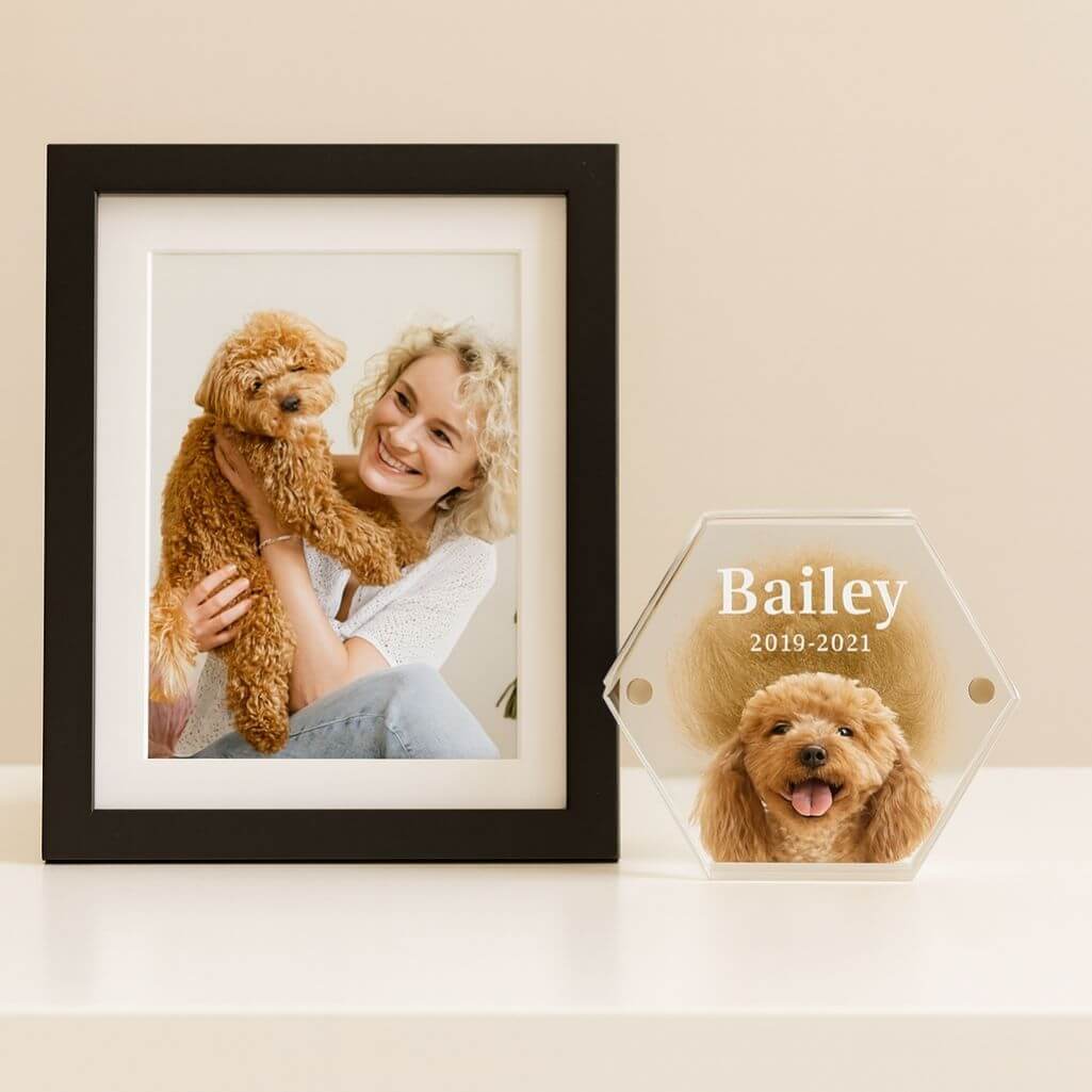 Gepersonaliseerd acryl aandenken voor hond - bewaardoosje met foto, naam en data voor vacht of tand
