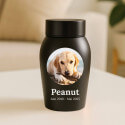 Urne pour chien en acier inoxydable personnalisée avec nom, dates & photo dans un cadre halo