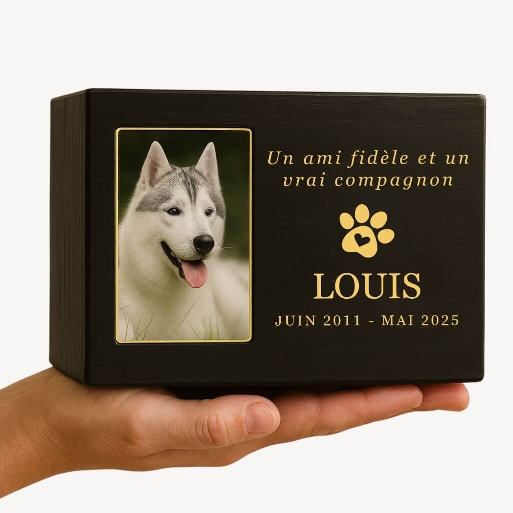 Urne funéraire pour chien en bois noir personnalisée​ avec photo – Coffret souvenir unique avec nom, dates & message