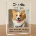 Plaque commémorative chien personnalisée​ – Cadre photo portait en acrylique pour chien avec photo, nom & dates