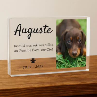 Plaque commémorative chien personnalisée –...