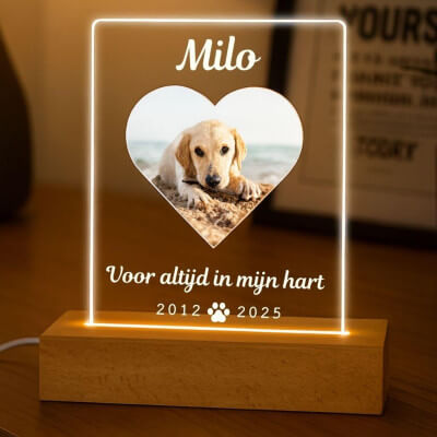 Gedenklampje voor hond met foto -...