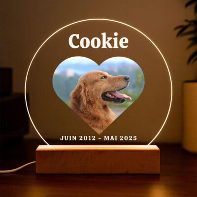 Cadre photo commémoratif lumineux chien...