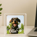 Gepersonaliseerd acryl fotoframe voor hond - aandenken met naam & hart-poot symbool