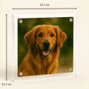 Gepersonaliseerd acryl fotoframe voor hond - aandenken met naam & hart-poot symbool