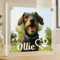 Gepersonaliseerd acryl fotoframe voor hond - aandenken met naam & hart-poot symbool