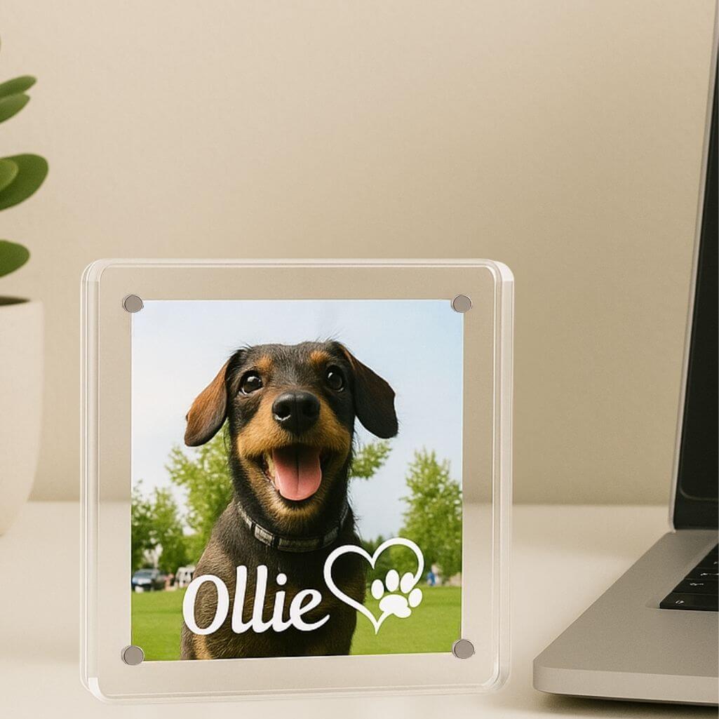 Gepersonaliseerd acryl fotoframe voor hond - aandenken met naam & hart-poot symbool