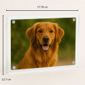 Gepersonaliseerd acryl fotoframe voor hond - aandenken met naam, foto & data