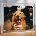 Gepersonaliseerd acryl fotoframe voor hond - aandenken met naam, foto & data