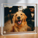 Horizontaal acryl fotoframe voor hond - aandenken met foto