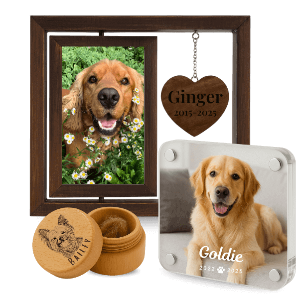 Herinneringscadeaus voor honden