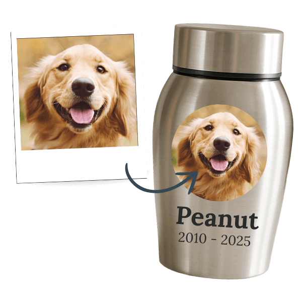 Urnes pour chiens personnalisées